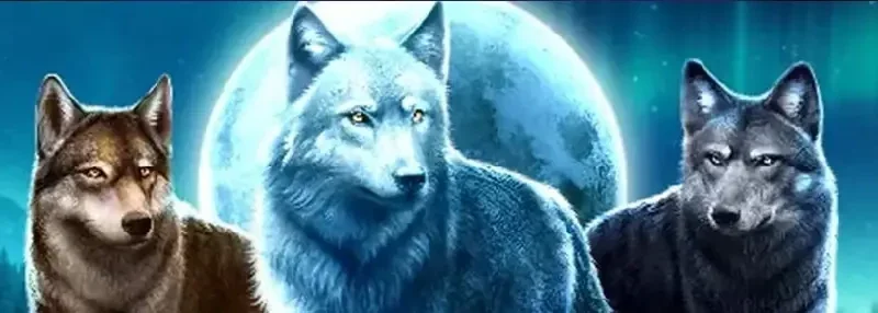 Wilderness Wolves Slot: The Call Of The Wild Pack In Pursuit Of Winnings 🐺